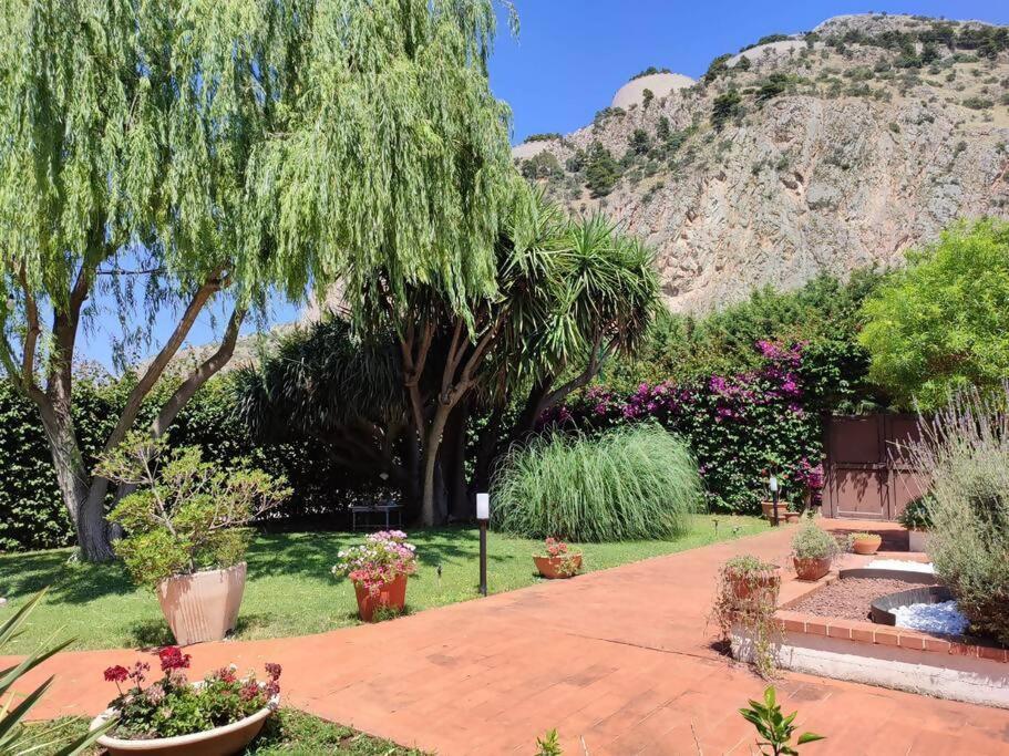 Da Nonna Cettina In Con Piscina Сasa de vacaciones Palermo